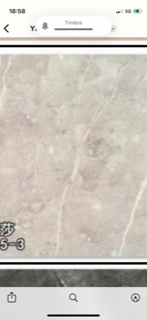 Travertino Fossil